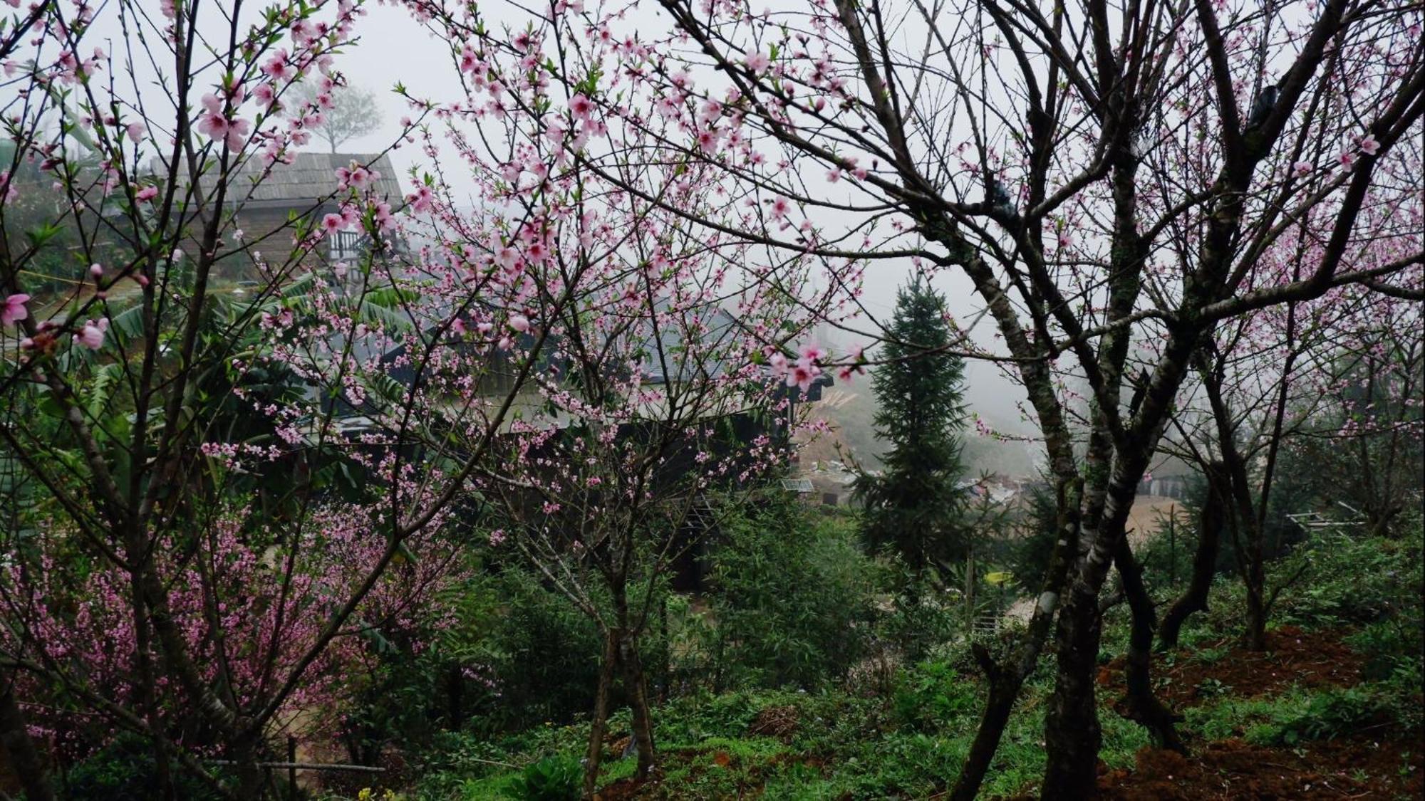 سابا Ta Phin Cottage المظهر الخارجي الصورة