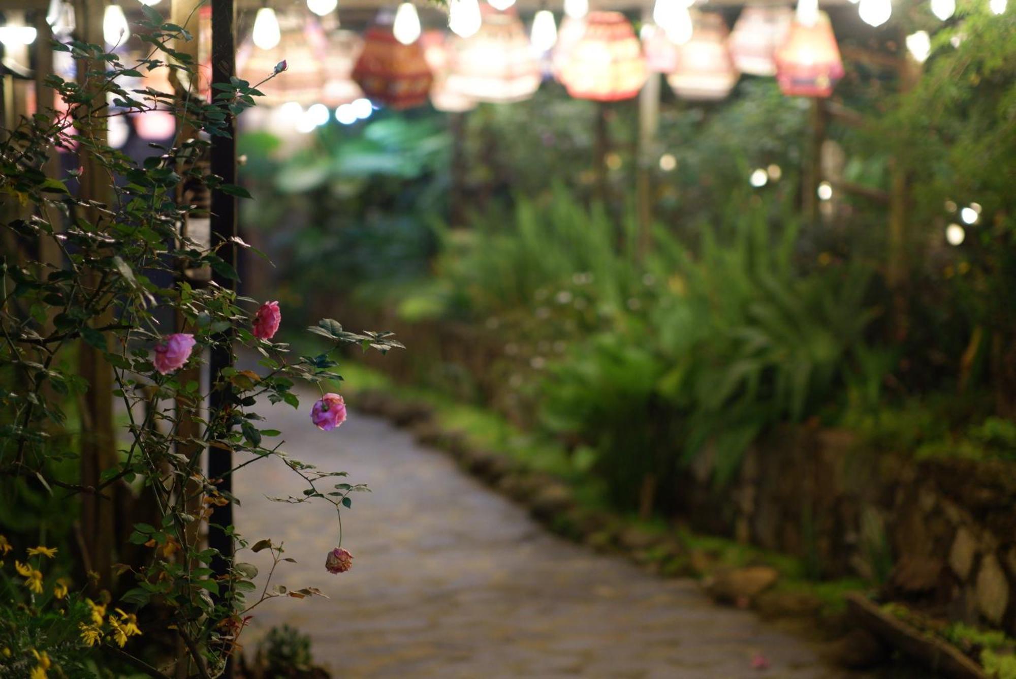 سابا Ta Phin Cottage المظهر الخارجي الصورة